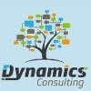 Dynamics Consulting Logo