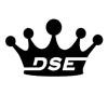 Dynasty Sports & Entertainment Logo