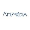e-Animedia Solutions Logo