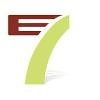 E7 Global APO Services Logo