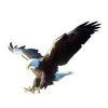 Eagle Aggregate Transportation Logo