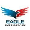 Eagle Eye Synergies Logo