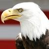 Eagle Resource Group Logo