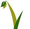 Early Growth Financial Services Logo