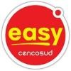 Easy Logo