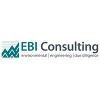 EBI Consulting Logo