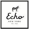 ECHO Design Group Logo