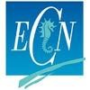Ecole Centrale de Nantes Logo