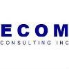 ECOM Consulting Logo