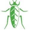 EcoShield Pest Control Logo