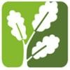 EcoSolutions Logo