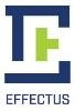 Effectus Enterprises Logo