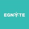 Egnyte Logo
