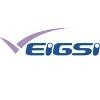 EIGSI Logo