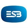 Electricity Supply Board Logo