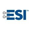 Electronic Solutions Logo