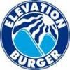 Elevation Franchise Ventures Logo