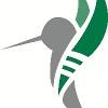 Elevation Healthcare Staffing Logo