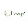 Elicap Logo