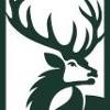 Elkwood Capital Logo