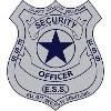 Elliott Security Solutions Logo
