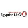 Elng Logo