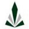 Elon Property Management Logo