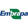 Embrapa Logo