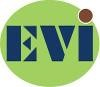 Emergent Ventures India Logo