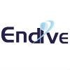 Endive Software Logo