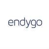 Endygo Logo