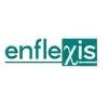 Enflexis Solutions Logo