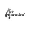 Ensim Logo