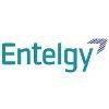 Entelgy Logo