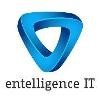 Entelligence Logo