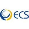 Enterprise Consulting Services Logo