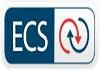Enterprise Consulting Solutions Logo