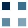Envision Healthcare Logo