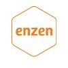 Enzen Logo