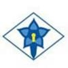 Enzian Ship Management Logo