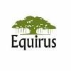Equirus Logo