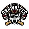 Erie SeaWolves Logo
