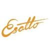 Esatto Logo