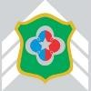 Escola de Sargento das Armas Logo
