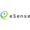 eSense Learning Pvt Logo