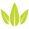 Essence Cannabis Dispensary Logo
