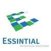 Essintial Enterprise Solutions Logo