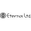 Eternix Logo