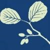 Etobicoke Services for Seniors Logo