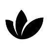 Eufora International Logo